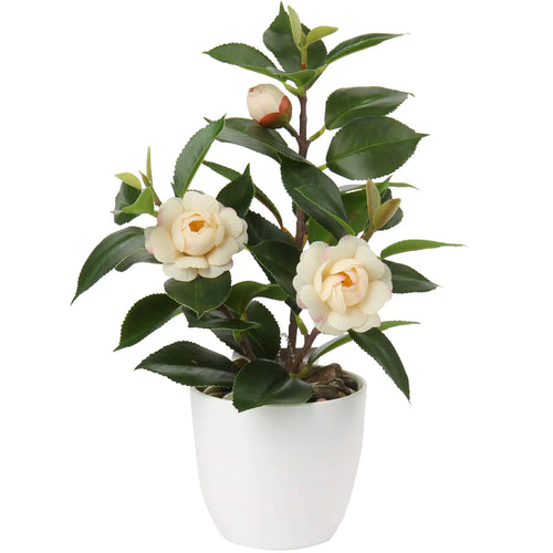 Briful Artificial Plants Mini Camellia Potted Fake Plants Small Faux Plastic Plants Desk Plant Artificial Flowers with Vase for Home Office Desk Kitchen Garden Indoor Decor
